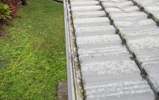 Gutter completely packed with wet leaves and debris before professional cleaning.