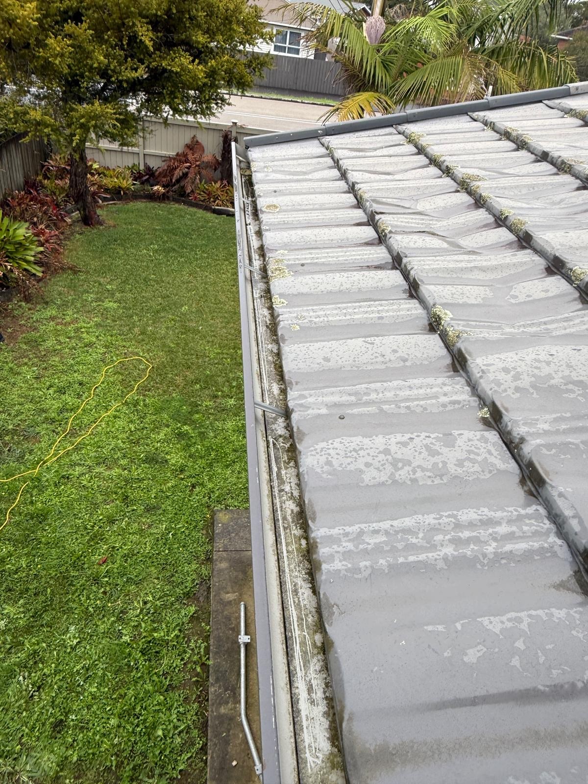 Gutter completely packed with wet leaves and debris before professional cleaning.