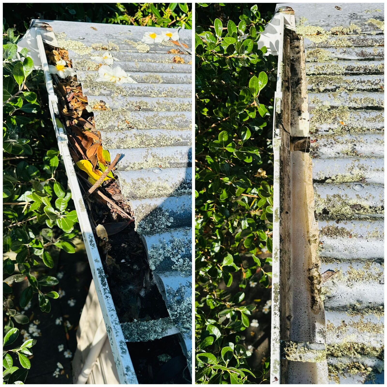 Gutter heavily blocked with moss, dirt, and organic buildup before professional cleaning.