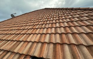 Concrete tile roof clean and restored after professional washing service.