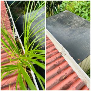 Before and after image of a gutter cleaning service in Auckland, showing the removal of debris and buildup from a residential roofline.
