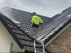 Roof cleaning