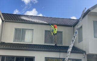 Technician applying roof treatment to remove moss, mould, and prevent further growth on a residential roof.