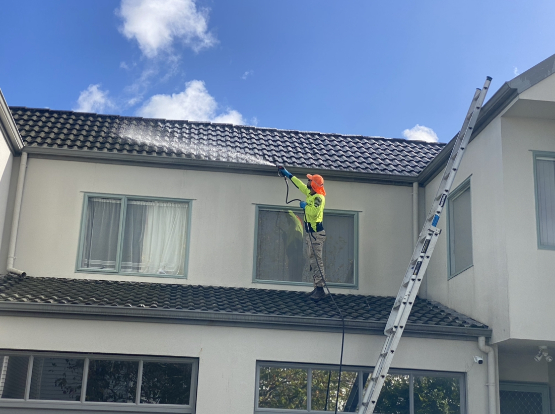 Technician applying roof treatment to remove moss, mould, and prevent further growth on a residential roof.