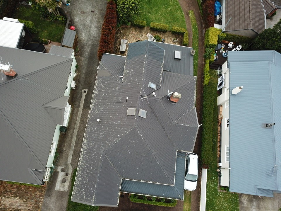 Roof covered in moss and mould, showing significant growth before professional moss and mould treatment.
