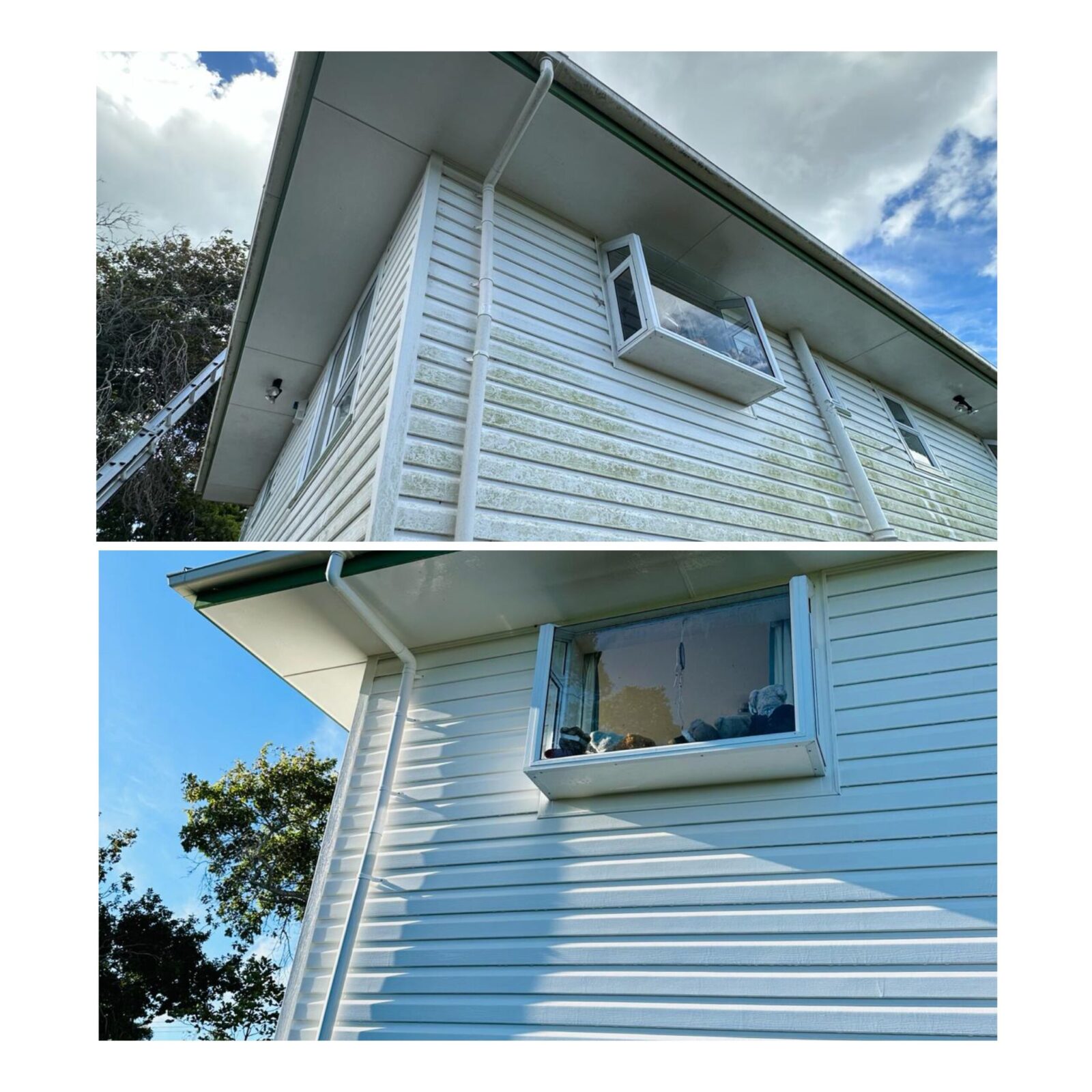 Exterior weatherboard cladding before and after professional cleaning, showing removal of dirt, grime, and moul.
