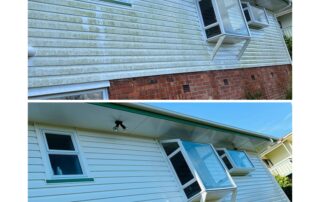 House exterior before and after professional soft chemical washing, showing removal of dirt, mold, and staining.