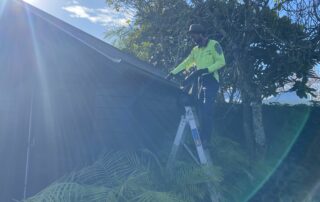 Metro Water Blasting technician hand-cleaning gutters at a residential property in Ponsonby.
