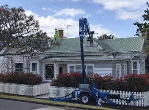 roof cleaning experts