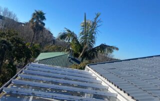 Roof surface heavily infested with moss and mould before cleaning and treatment.