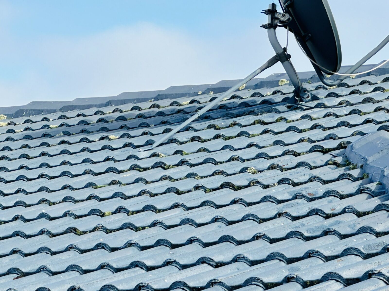 Roof surface with heavy moss and mould growth before professional cleaning and treatment.