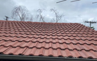 Roof showing lasting effects of moss and mould treatment 3 months after application, still free from moss and organic growth.