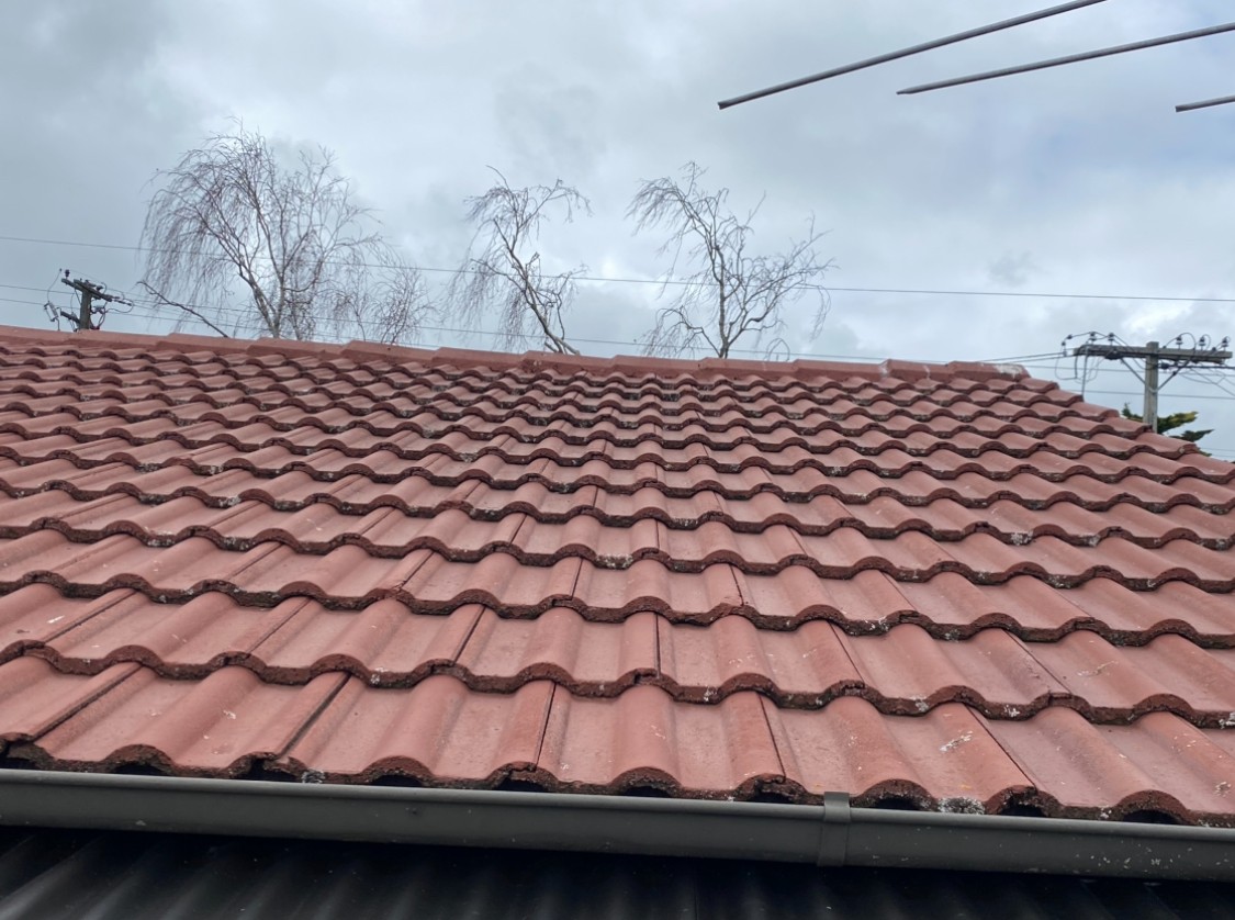 Roof showing lasting effects of moss and mould treatment 3 months after application, still free from moss and organic growth.