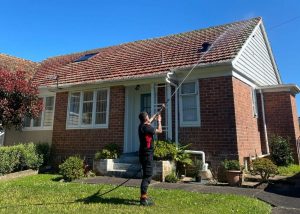 roof moss and lichen treatment