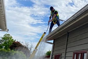 gutter cleaning