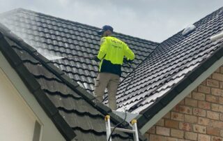 Technician applying moss and mould spray treatment to a residential roof in Auckland.