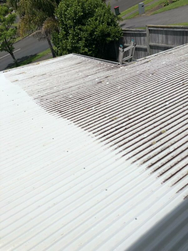 roof cleaning services