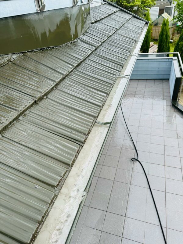 gutter cleaning