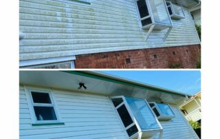 House exterior before and after professional washing, with dirt, mold, and stains fully removed.