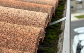Gutters filled with algae growth and debris before professional cleaning at a residential property.