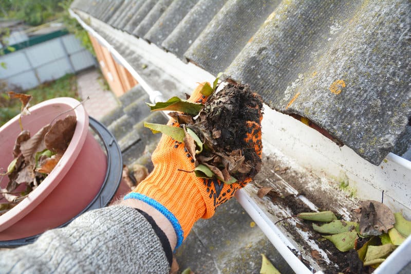 Gutter cleaning