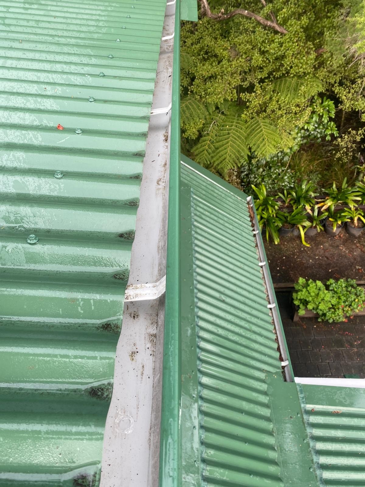 Gutter fully cleaned and cleared of moss, dirt, and debris after professional service.